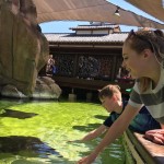 seaworld seaworld