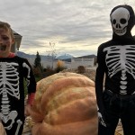 halloweenfunsm halloweenfunsm