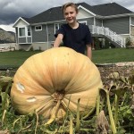 Bodepumpkin299 Bodepumpkin299